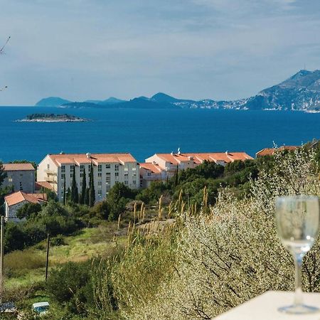 Nice Apartment In Cavtat With Wifi ภายนอก รูปภาพ